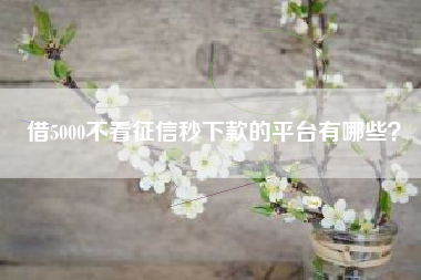 借5000不看征信秒下款的平台有哪些？