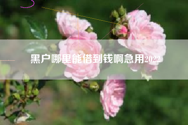 黑户哪里能借到钱啊急用2022