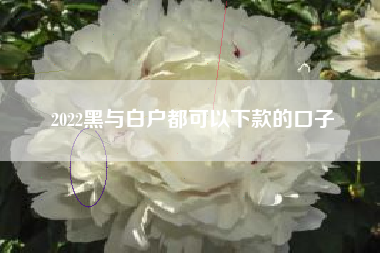 2022黑与白户都可以下款的口子