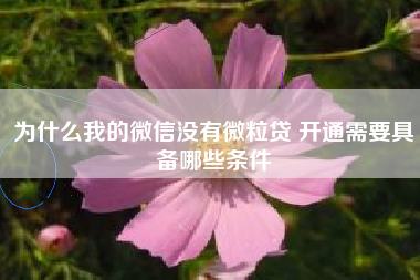 为什么我的微信没有微粒贷 开通需要具备哪些条件