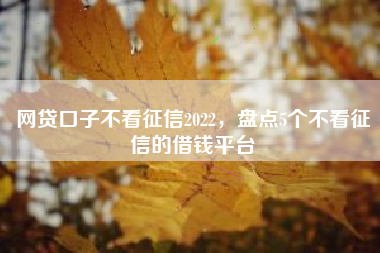 网贷口子不看征信2022，盘点5个不看征信的借钱平台