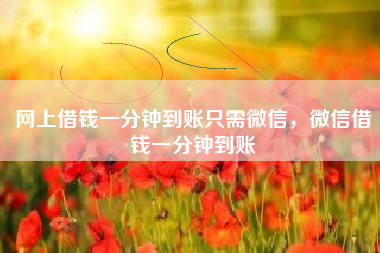 网上借钱一分钟到账只需微信，微信借钱一分钟到账