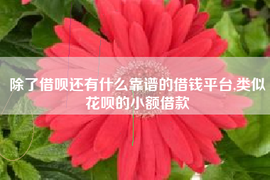 除了借呗还有什么靠谱的借钱平台,类似花呗的小额借款