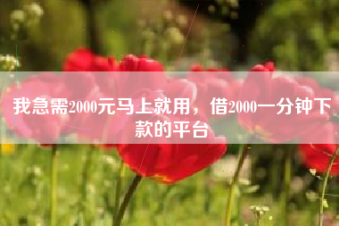 我急需2000元马上就用，借2000一分钟下款的平台