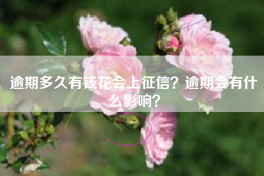 逾期多久有钱花会上征信？逾期会有什么影响？