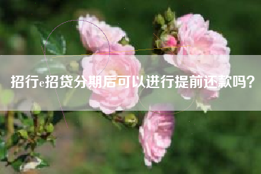 招行e招贷分期后可以进行提前还款吗？