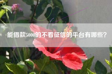 能借款5000的不看征信的平台有哪些？