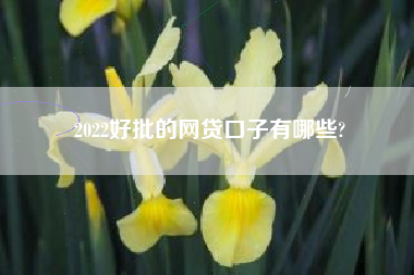 2022好批的网贷口子有哪些?
