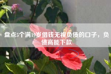 盘点5个满19岁借钱无视负债的口子，负债高能下款