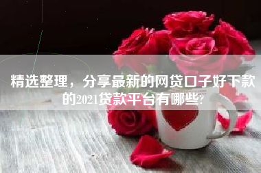 精选整理，分享最新的网贷口子好下款的2021贷款平台有哪些?