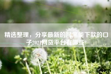 精选整理，分享最新的网黑能下款的口子2021网贷平台有哪些?