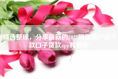 精选整理，分享最新的2022网贷黑户必下款口子贷款app有哪些?