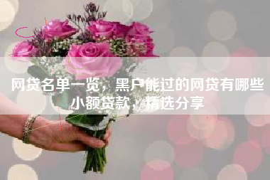 网贷名单一览，黑户能过的网贷有哪些小额贷款，精选分享