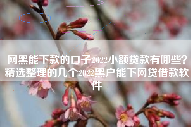 网黑能下款的口子2022小额贷款有哪些？精选整理的几个2022黑户能下网贷借款软件