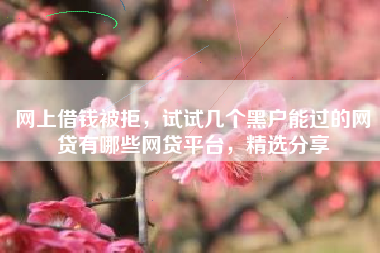 网上借钱被拒，试试几个黑户能过的网贷有哪些网贷平台，精选分享
