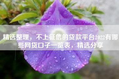 精选整理，不上征信的贷款平台2022有哪些网贷口子一览表，精选分享