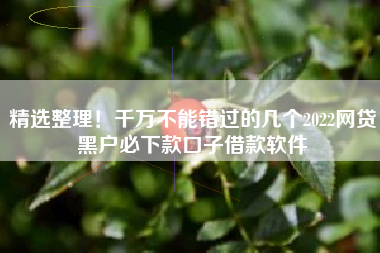 精选整理！千万不能错过的几个2022网贷黑户必下款口子借款软件