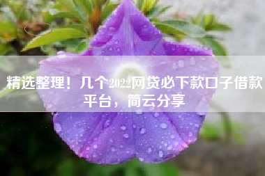 精选整理！几个2022网贷必下款口子借款平台，简云分享