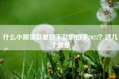 什么小额贷款是好下款的口子2022？这几个就是
