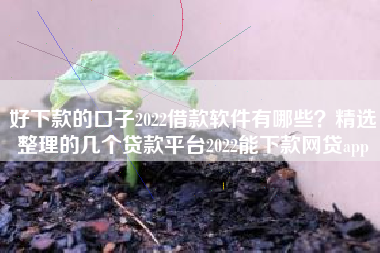 好下款的口子2022借款软件有哪些？精选整理的几个贷款平台2022能下款网贷app