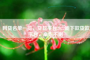 网贷名单一览，贷款平台2022能下款贷款平台，拿走不谢