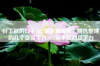 好下款的口子2022贷款有哪些？精选整理的几个贷款平台2022能下款网贷平台