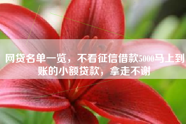网贷名单一览，不看征信借款5000马上到账的小额贷款，拿走不谢
