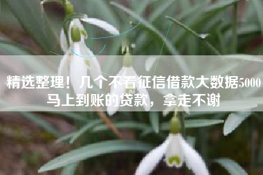 精选整理！几个不看征信借款大数据5000马上到账的贷款，拿走不谢