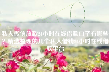 私人微信放款24小时在线借款口子有哪些？精选整理的几个私人借钱24小时在线借款平台