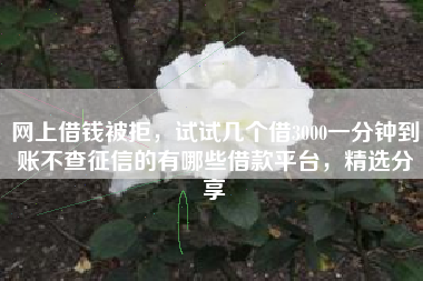 网上借钱被拒，试试几个借3000一分钟到账不查征信的有哪些借款平台，精选分享