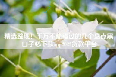 精选整理！千万不能错过的几个盘点黑口子必下款app2022贷款平台