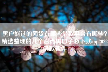 黑户能过的网贷有哪些借款平台有哪些？精选整理的几个盘点黑口子必下款app2022借款软件