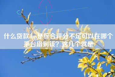 什么贷款app是综合评分不足可以在哪个平台借到钱？这几个就是