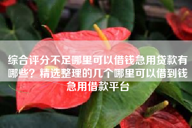 综合评分不足哪里可以借钱急用贷款有哪些？精选整理的几个哪里可以借到钱急用借款平台