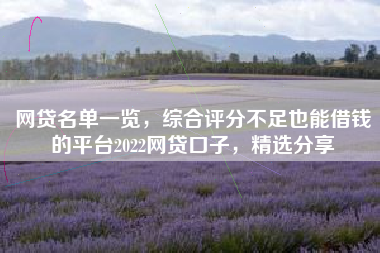 网贷名单一览，综合评分不足也能借钱的平台2022网贷口子，精选分享
