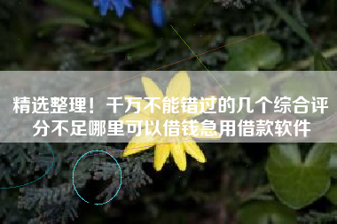 精选整理！千万不能错过的几个综合评分不足哪里可以借钱急用借款软件