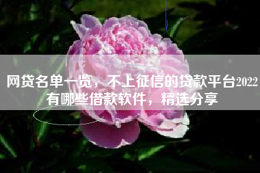 网贷名单一览，不上征信的贷款平台2022有哪些借款软件，精选分享