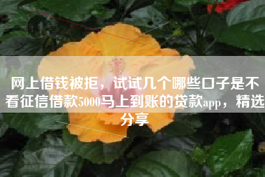 网上借钱被拒，试试几个哪些口子是不看征信借款5000马上到账的贷款app，精选分享