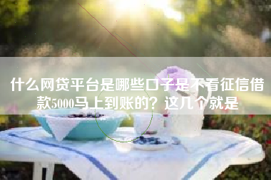 什么网贷平台是哪些口子是不看征信借款5000马上到账的？这几个就是