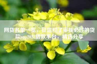 网贷名单一览，征信烂了审核必过的贷款app2022借款平台，精选分享