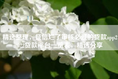 精选整理，征信烂了审核必过的贷款app2022贷款平台一览表，精选分享