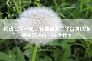 网贷名单一览，征信差哪个平台可以借钱网贷平台，精选分享
