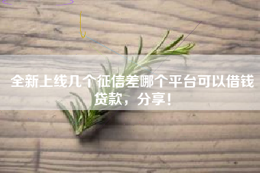 全新上线几个征信差哪个平台可以借钱贷款，分享！