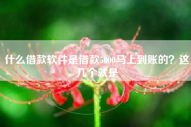 什么借款软件是借款5000马上到账的？这几个就是