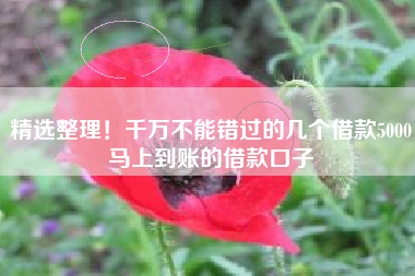 精选整理！千万不能错过的几个借款5000马上到账的借款口子