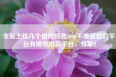 全新上线几个借钱应急5000不查征信的平台有哪些借款平台，分享！