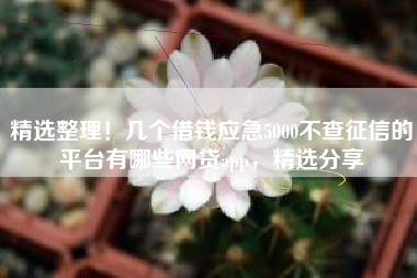 精选整理！几个借钱应急5000不查征信的平台有哪些网贷app，精选分享
