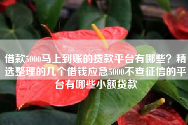 借款5000马上到账的贷款平台有哪些？精选整理的几个借钱应急5000不查征信的平台有哪些小额贷款