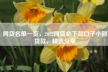 网贷名单一览，2022网贷必下款口子小额贷款，精选分享