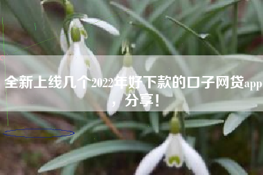 全新上线几个2022年好下款的口子网贷app，分享！